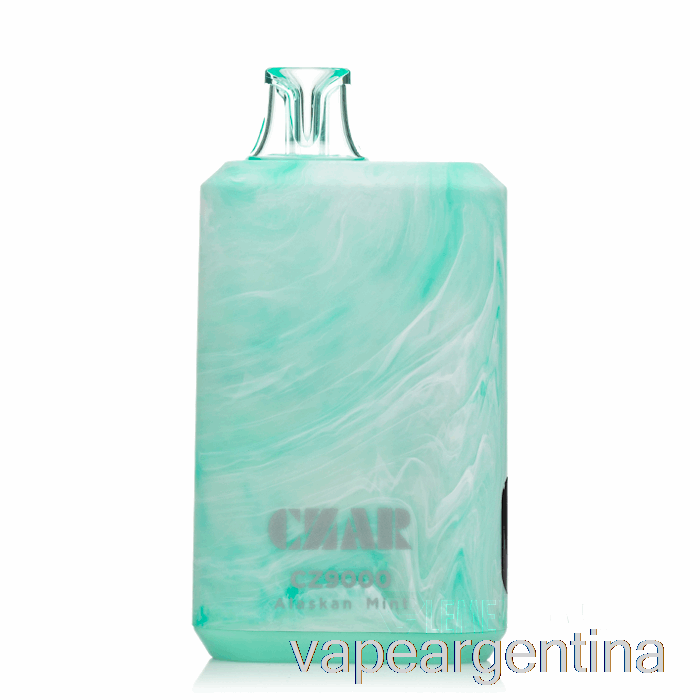 Czar Cz9000 Vape Desechable De Menta De Alaska Argentina